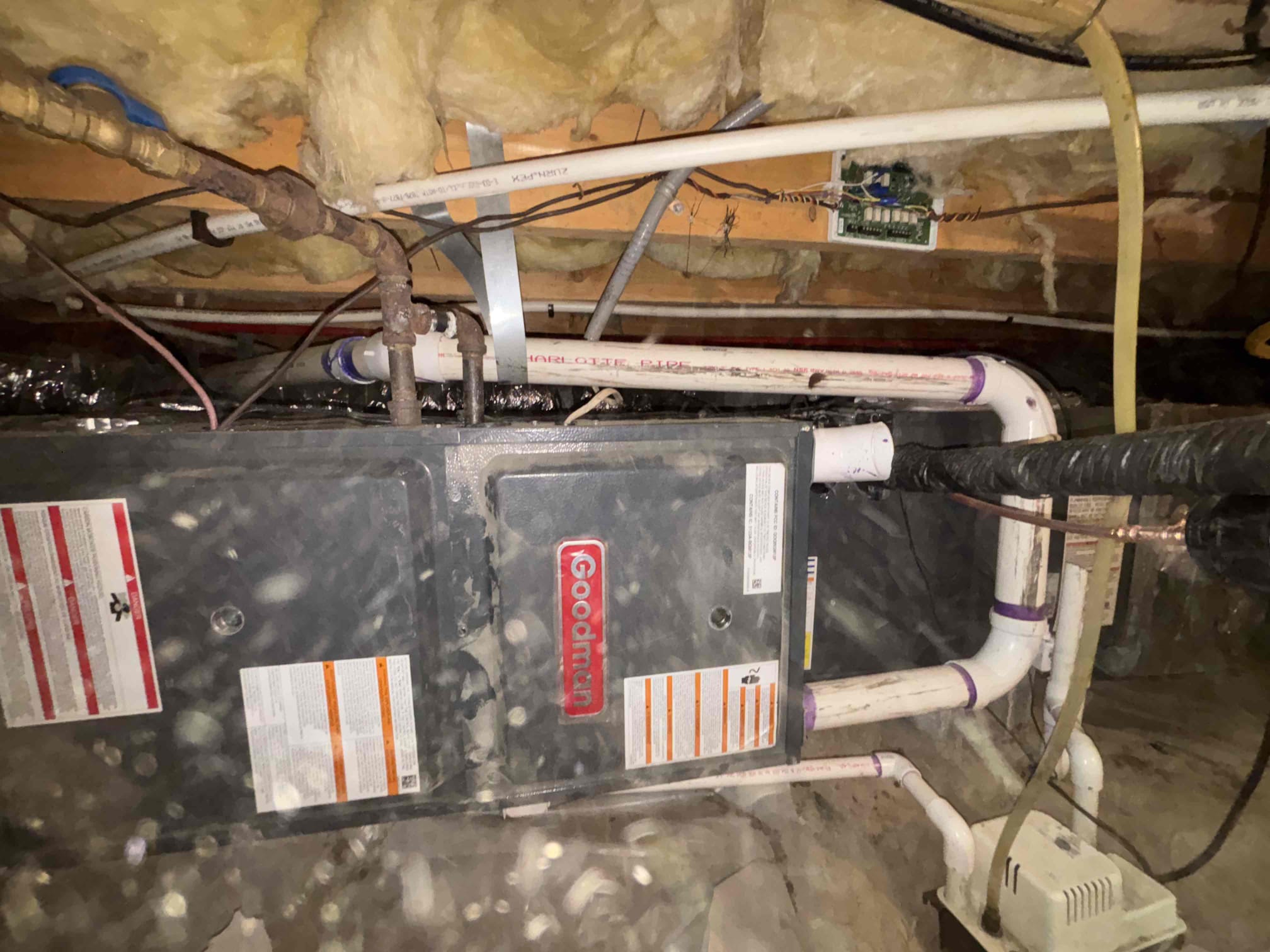 Chris, Israel