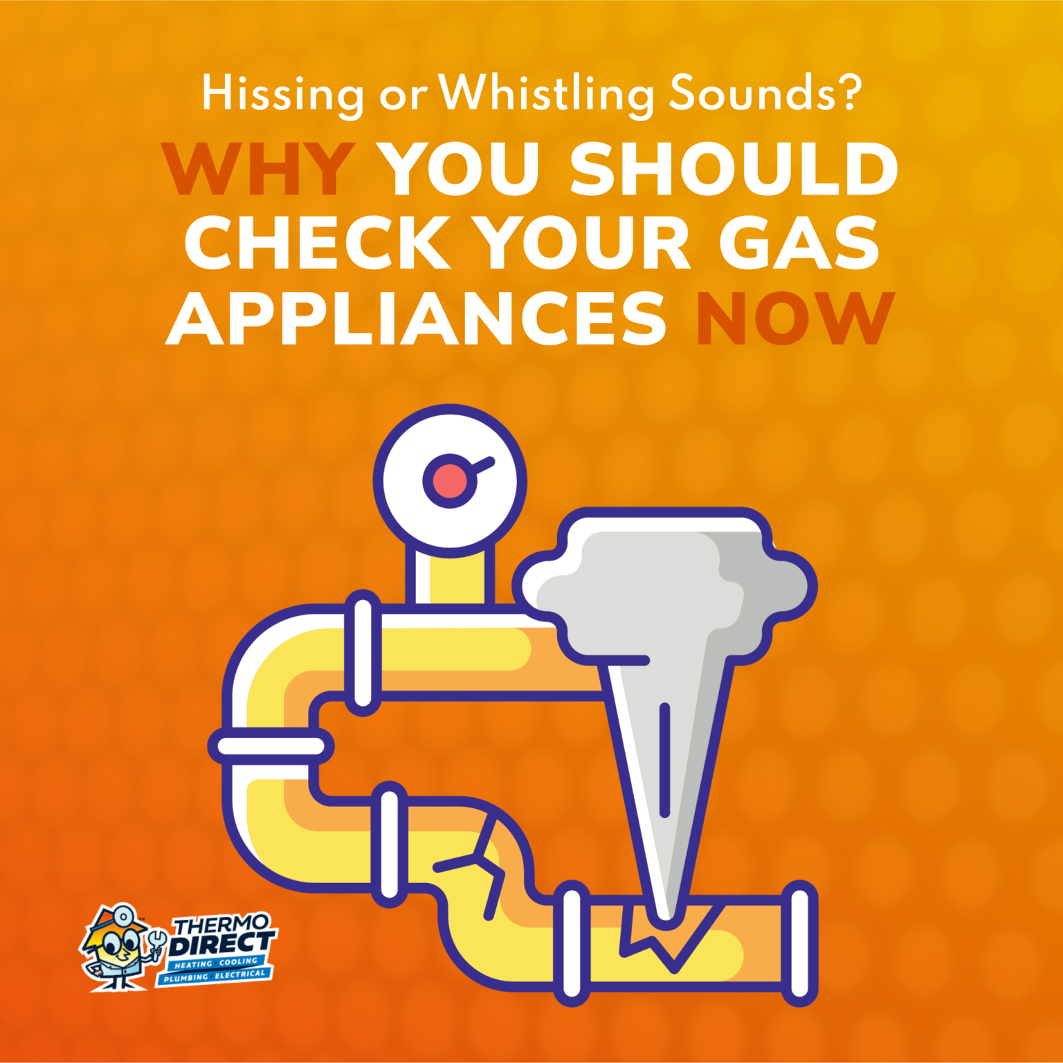 Hissing or Whistling Sounds? Why You Should Check Your Gas Appliances Now