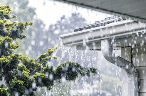 Storm Tips in Raleigh, NC