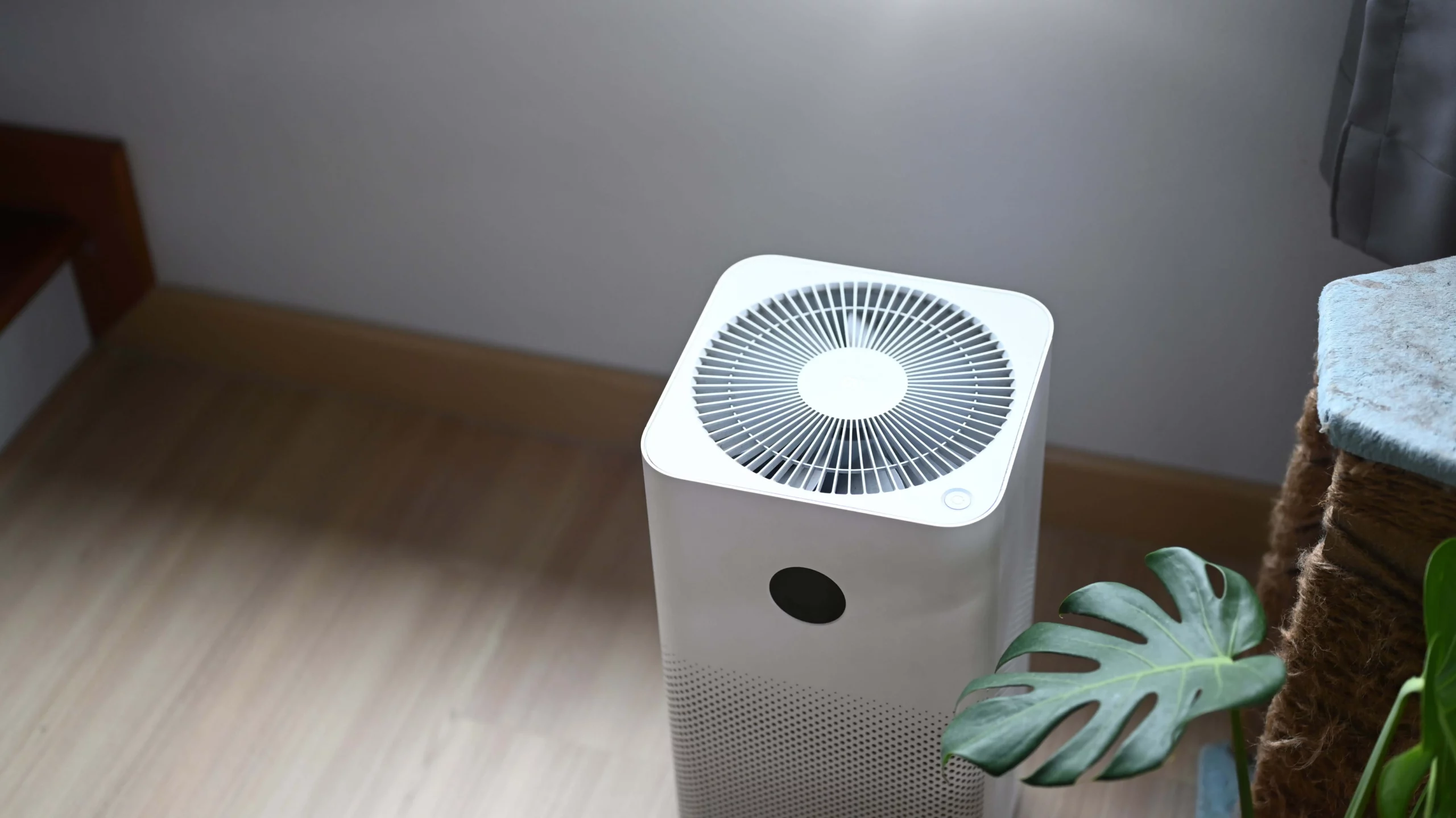 A white air purifier stands on a wooden floor next to a green plant in a corner of a Raleigh, NC room with light-colored walls, enhancing indoor air quality for a fresher living space.